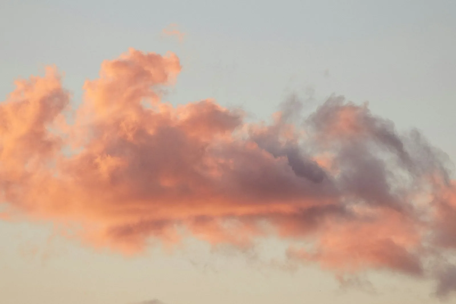 Una nuvola rosa e pesca al primo sole del mattino
