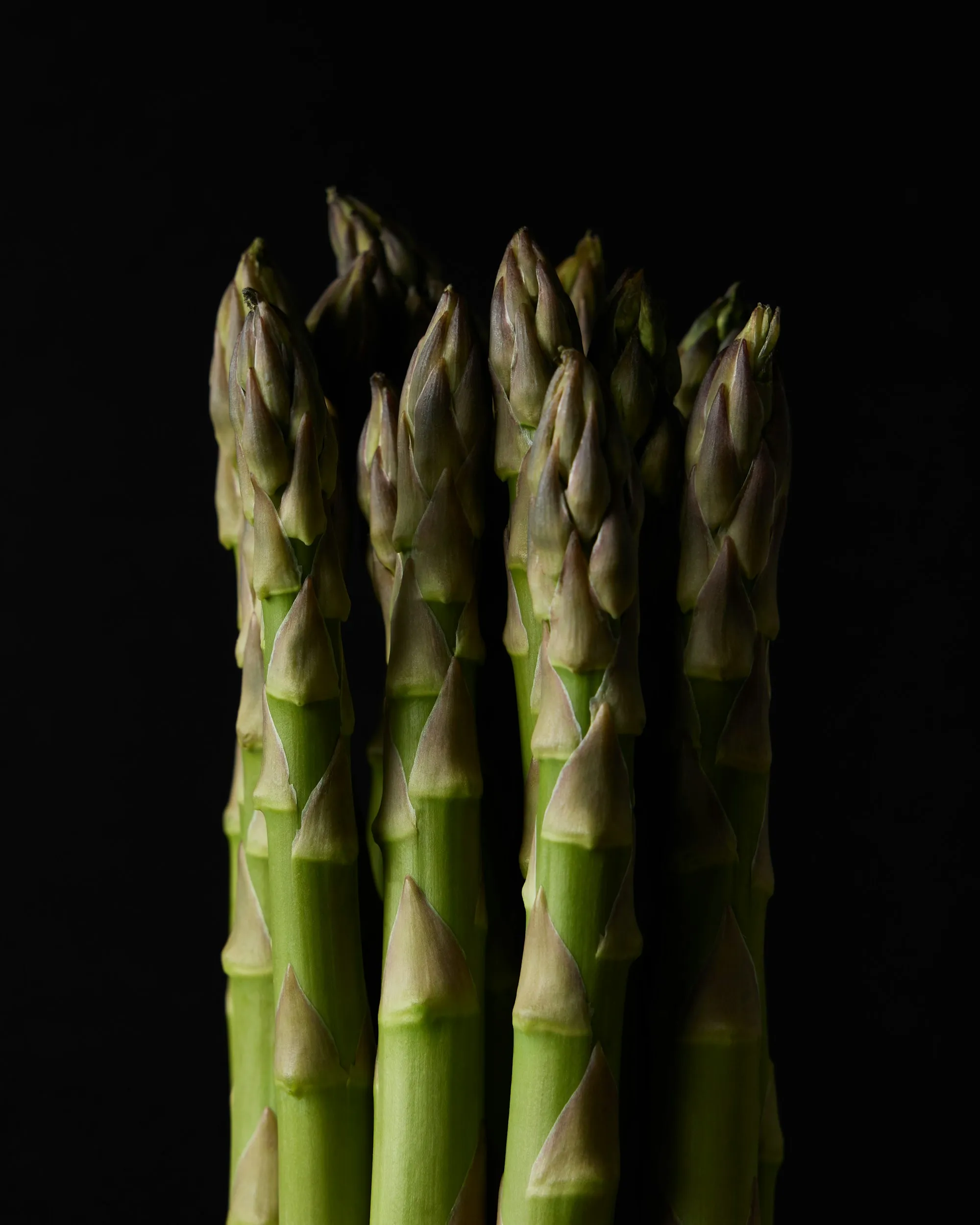 Un mazzo di asparagi verdi su fondo nero