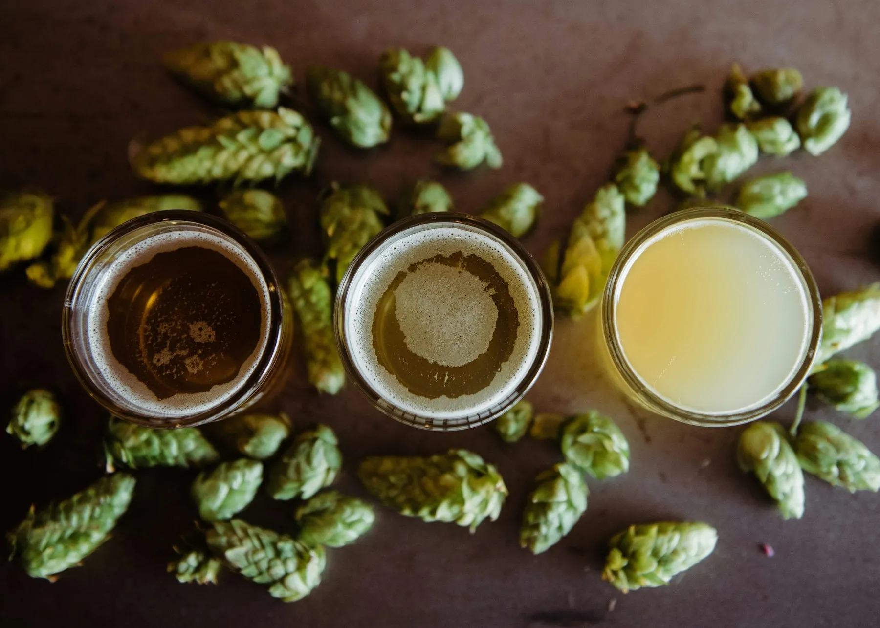 Tre bicchieri di birra di colori diversi, dal chiaro allo scuro, circondati da coni di luppolo fresco.