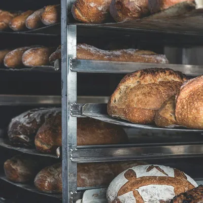 Pane a lievitazione lunga appena sfornato