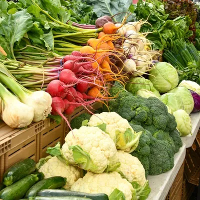 Cassette di verdure di stagione dal contadino